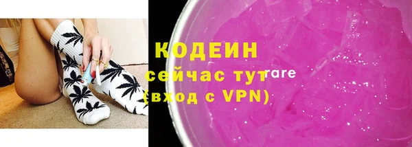 крисы Елабуга