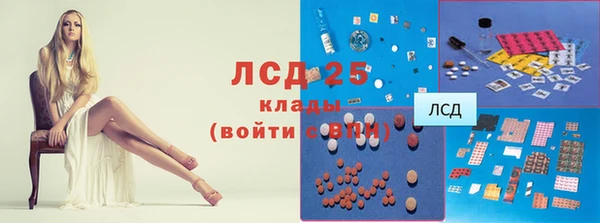 прущая мука Тайга