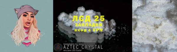 крисы Елабуга