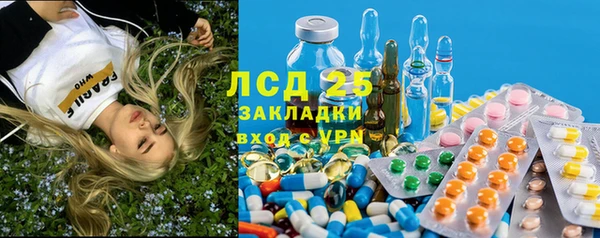 MESCALINE Елизово