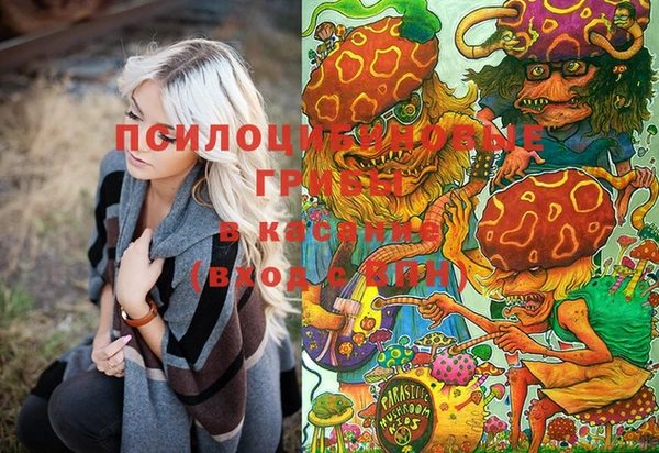 MESCALINE Елизово