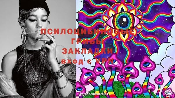 крисы Елабуга