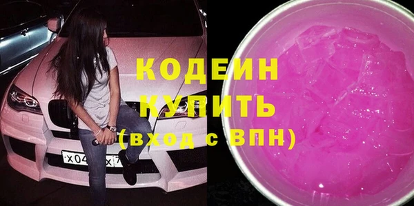 крисы Елабуга