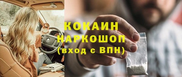 индика Сясьстрой