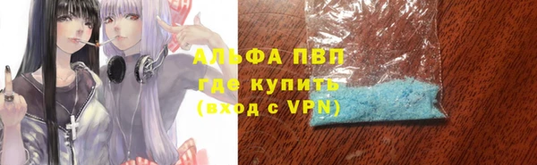 прущая мука Ельня
