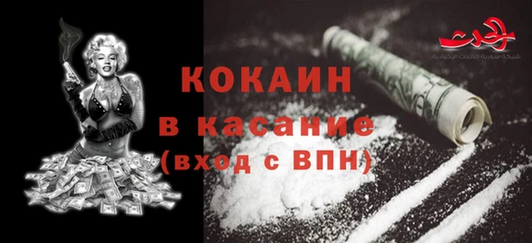 крисы Елабуга